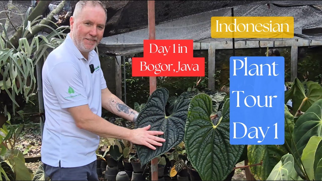 Indonesia Plant Tour Day 1