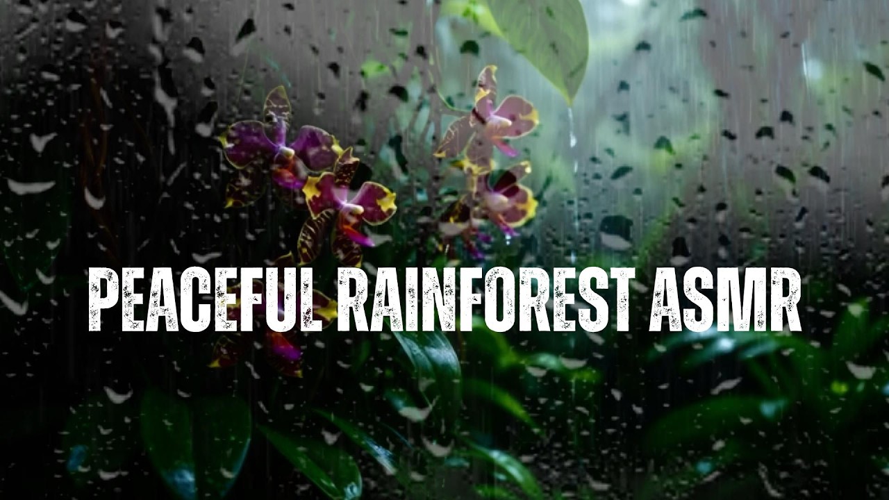 🌧️ Peaceful Rainforest ASMR | Deep Sleep Rain Sounds