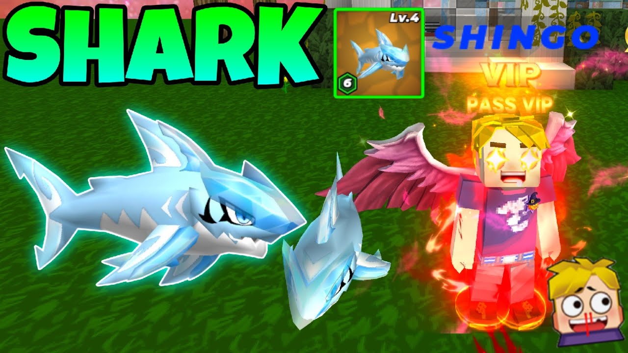 I BOUGHT THE NEW SHARK PET in Skyblock Blockman go 🦈