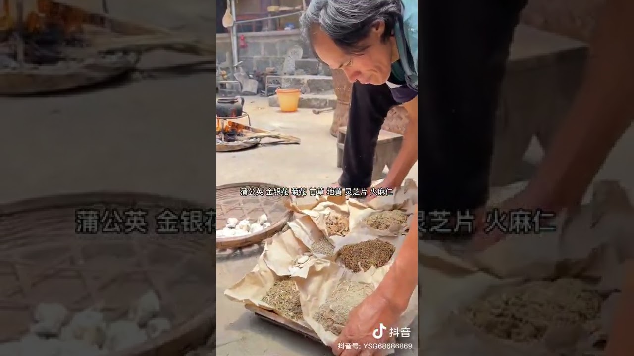 Chinese Turtle Jelly