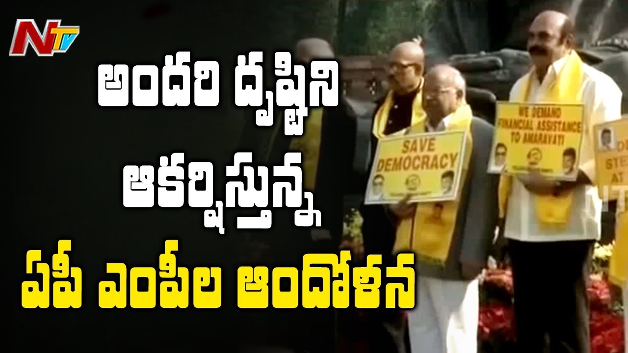 TDP and YCP MP's Protest at Parliament | Demands AP Special Status | NTV
