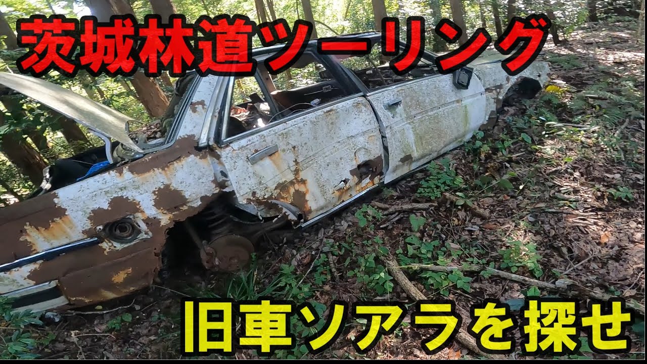 焼肉レーシングブログ　　ソアラを探せ　　笠間石岡周辺林道探索編