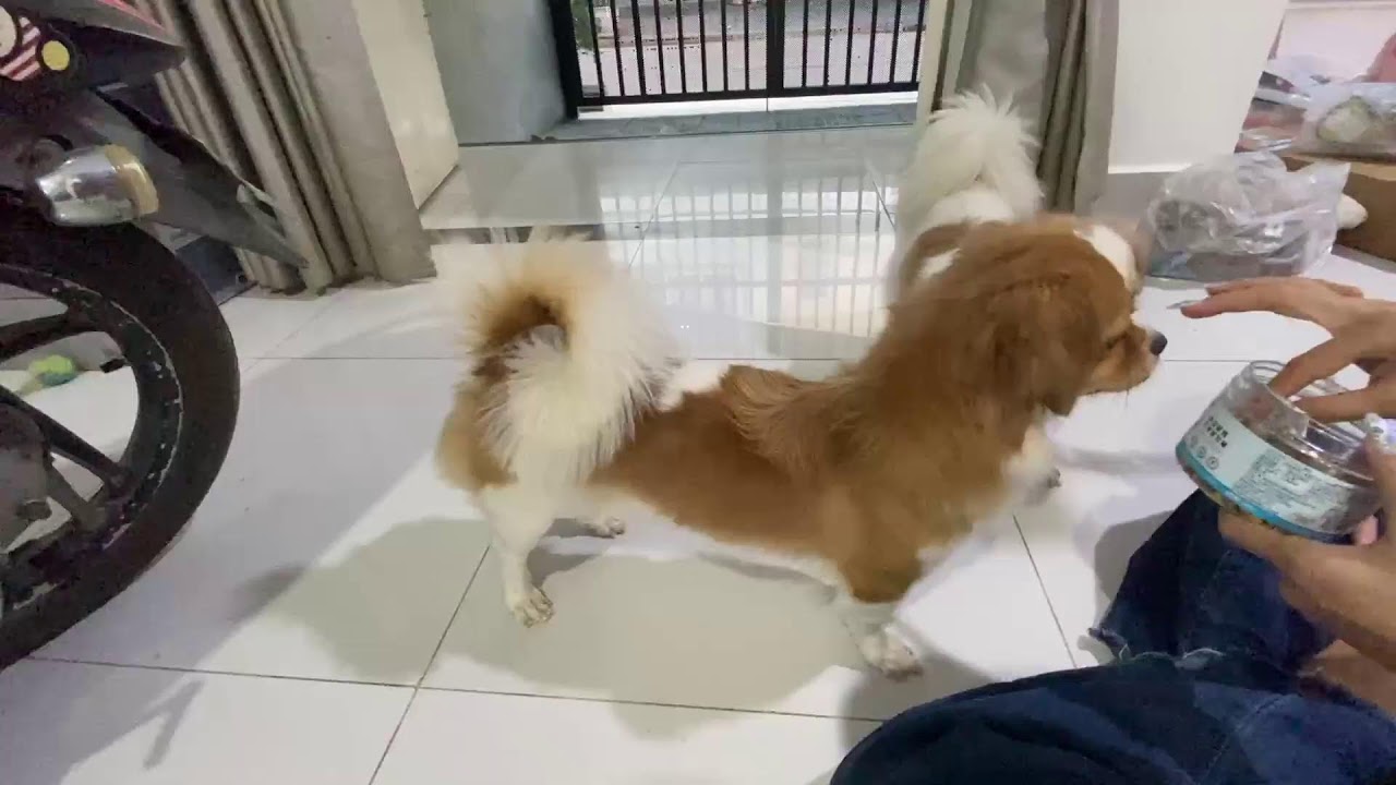 Supper time happiness
