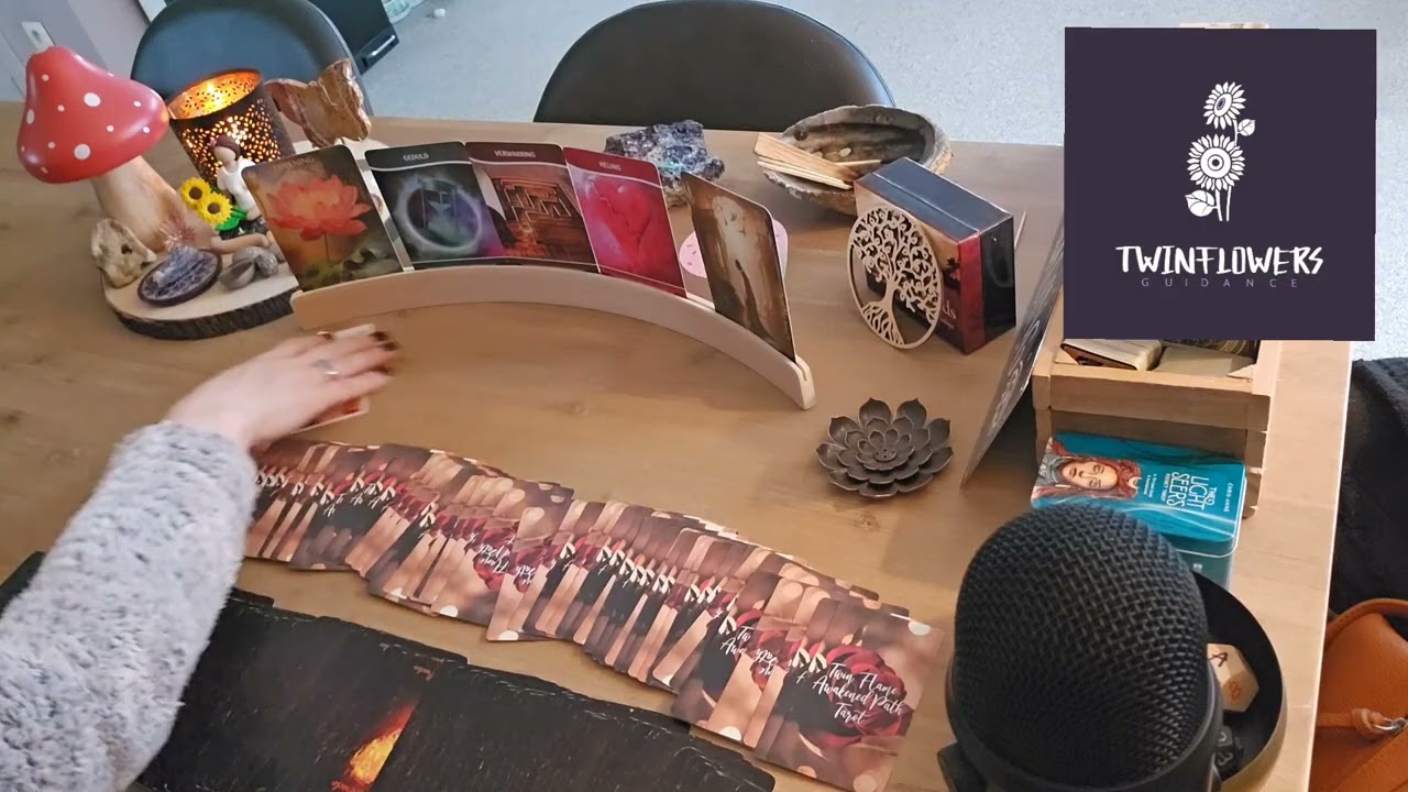 TWEELINGZIELEN: Energetisch gesprek 💞