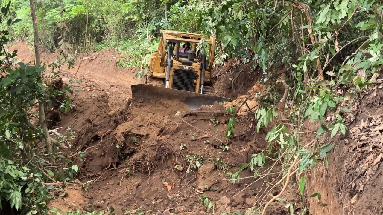 After Clearing the Road, the D6R XL Bulldozer Tidies Up the Mountain Plantation Road