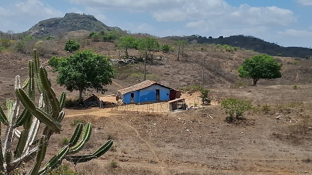 Um lugar de história de uma família simples do sertão #diaadia 