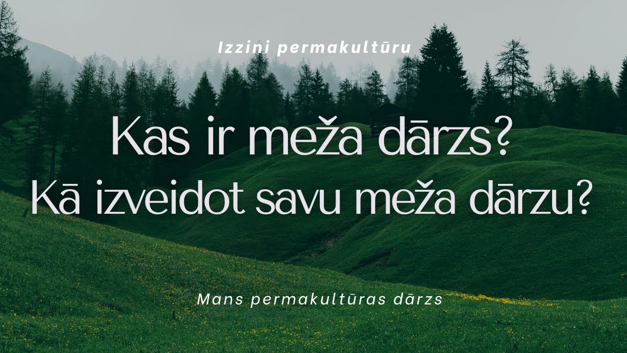 Kas ir Meža dārzs? Kā izveidot savu meža dārzu?
