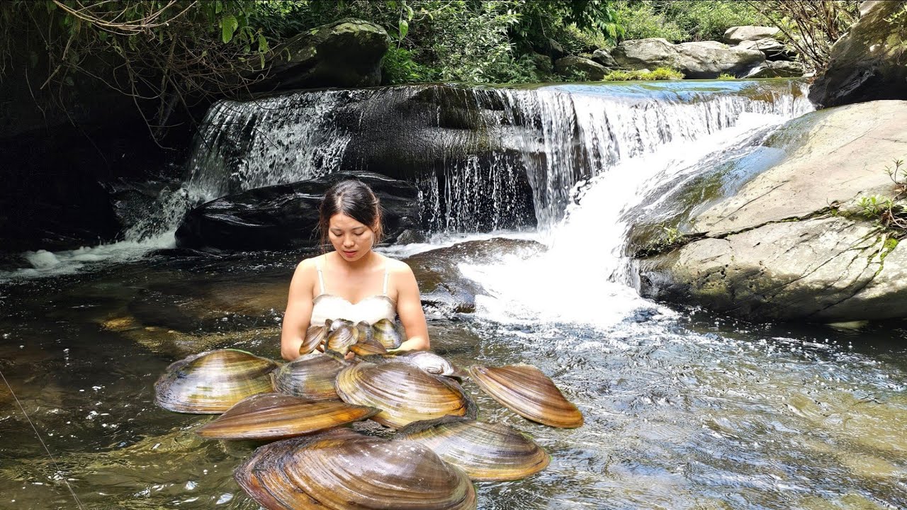 CEO leaves the city for the forest, asks son to cook delicious dishes, gifts from mother nature