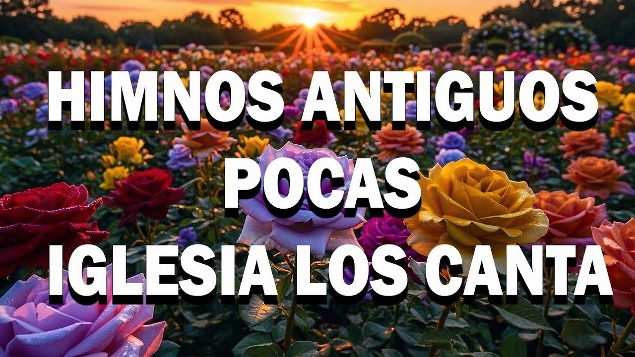 50 Himnos Para Sanar un Corazón Triste 🙏 La Colección de Oro Que Te Acompañará