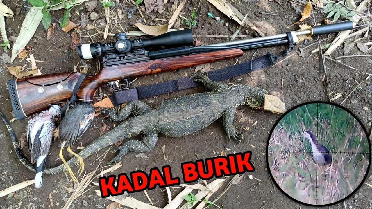Berburu biawak, tekukur & ruak-ruak bareng Mas Jhon