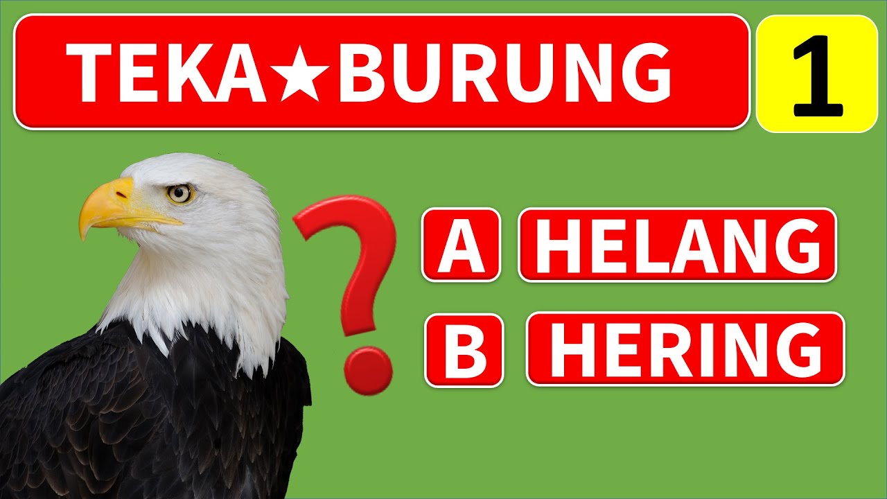 TEKA NAMA NAMA BURUNG ★ GEMBIRA EDUTV 2020