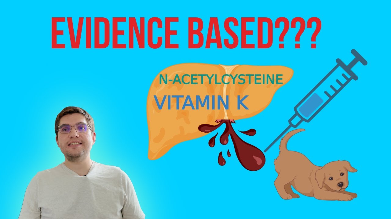 ER Vets: Should You Really Use N-Acetylcysteine and Vitamin K in Every Liver Failure Case?