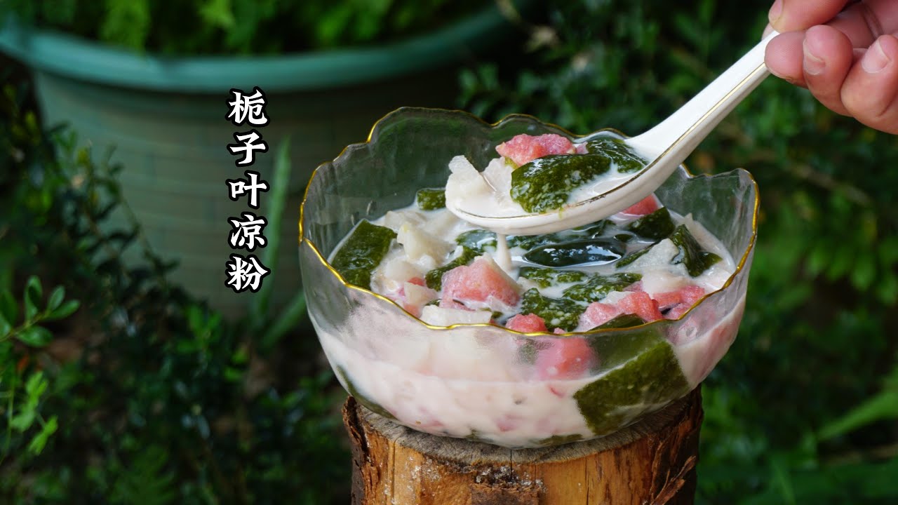 翻山找的黄栀子叶，做出QQ弹弹凉粉！一口驱暑，值了～（Wild gardenia leaves make jelly: QQ bouncy, beats summer heat!）