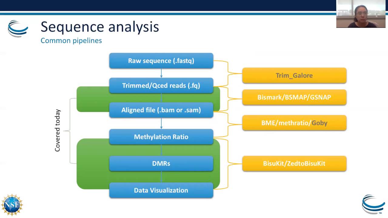 Webinar: Epigenetics Part I – Bisulfite Sequence Analysis and Adenosine to Inosine Modifications