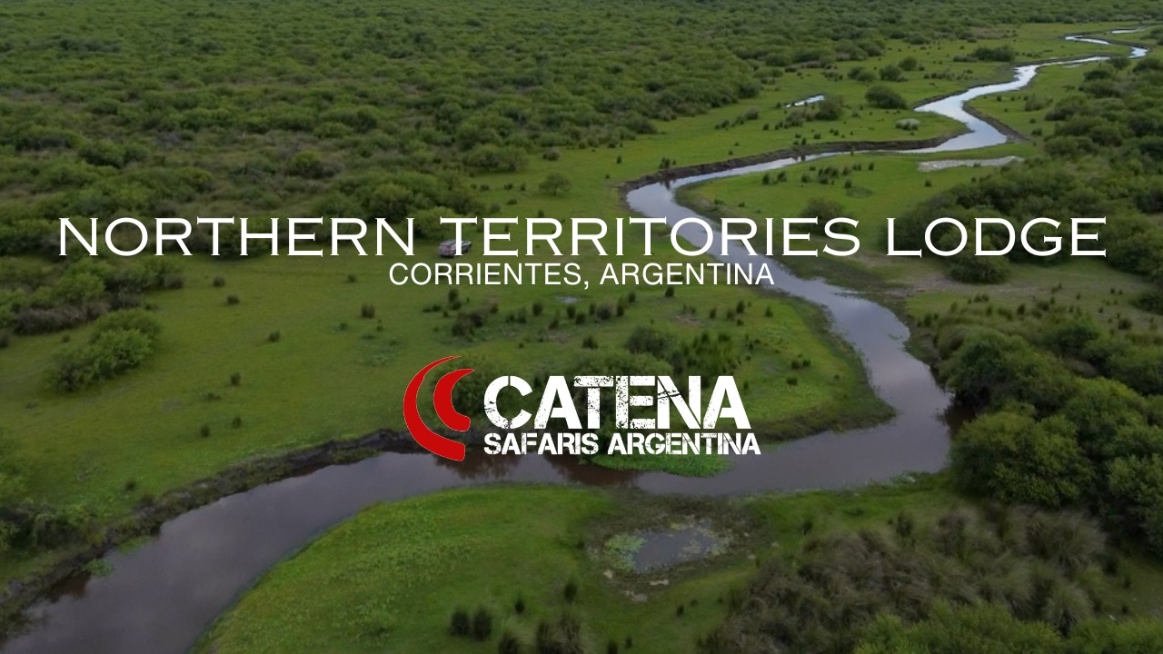 Northern Territories Lodge - Argentina Free Range Hunt