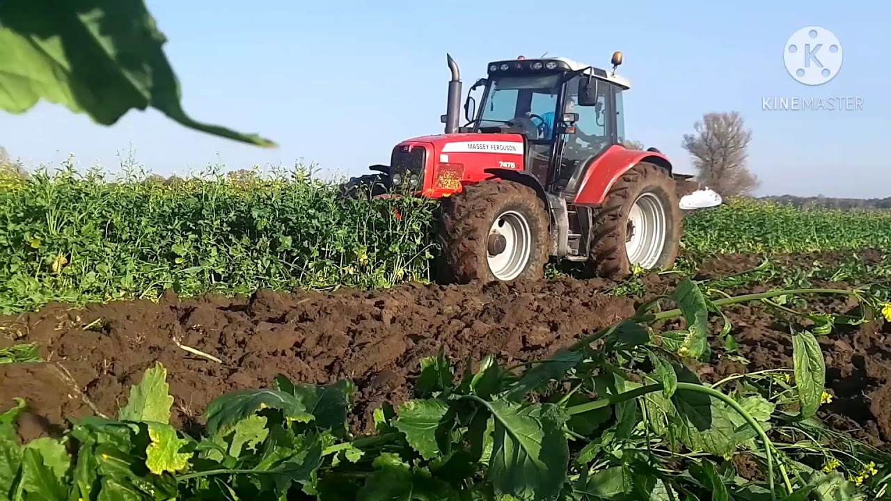 Orka gorczycy (morzna było tależować) zestaw mf 7475 dyna vt pług akpil km 180