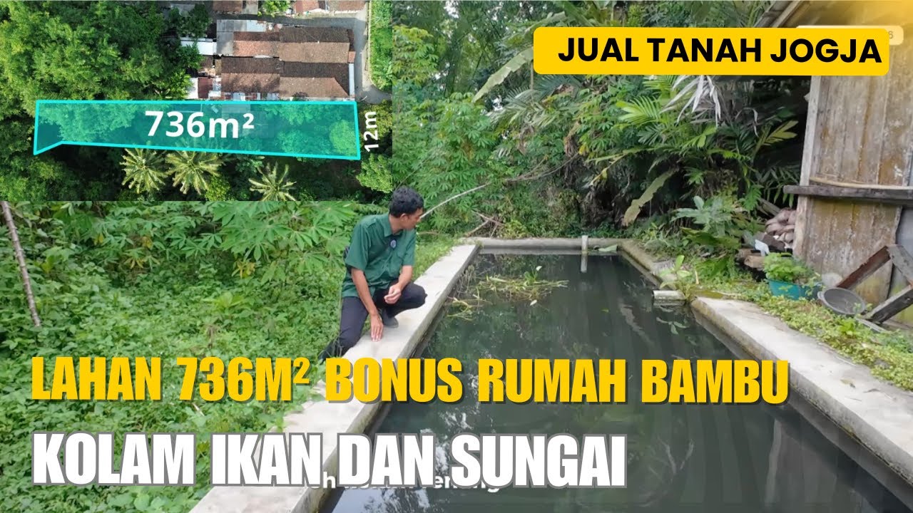 EPS 570 JUAL TANAH MURAH JOGJA TANAH LUAS 736m² BONUS RUMAH BAMBU ADA KOLAM IKAN DAN SUNGAI