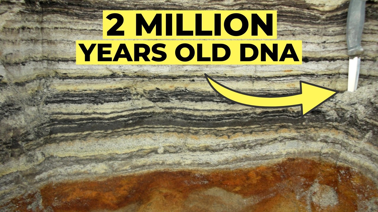 Ancient DNA in Greenland Dirt Reveals Dramatic Warming and Lost Wildlife