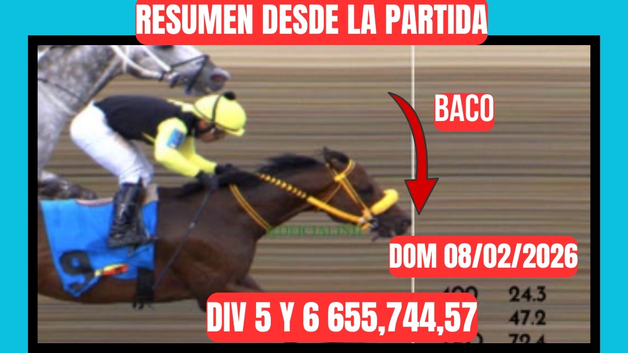 RESUMEN CARRERAS DE CABALLOS LA RINCONADA INH DOMINGO 08 DE FEBRERO 2026