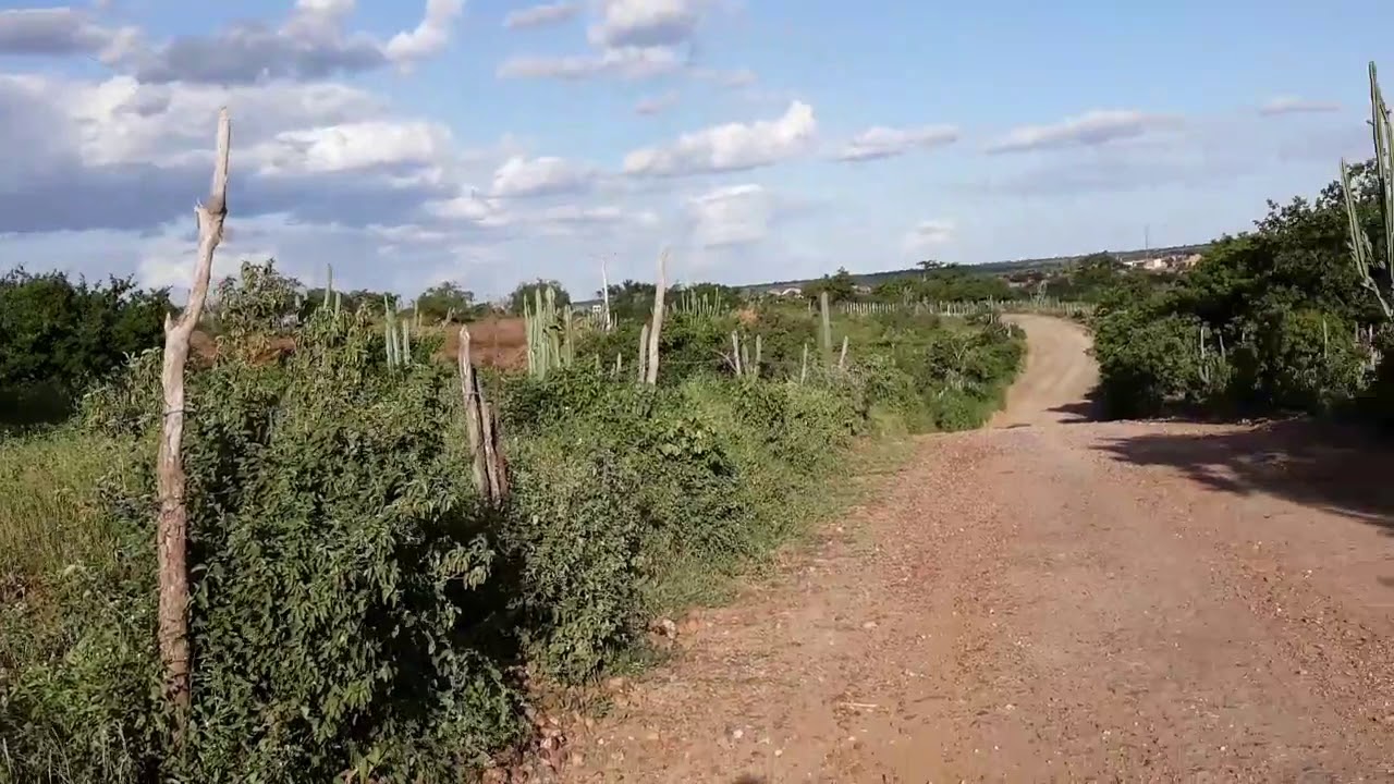 CHEGANDO EM ESPANTA GADO