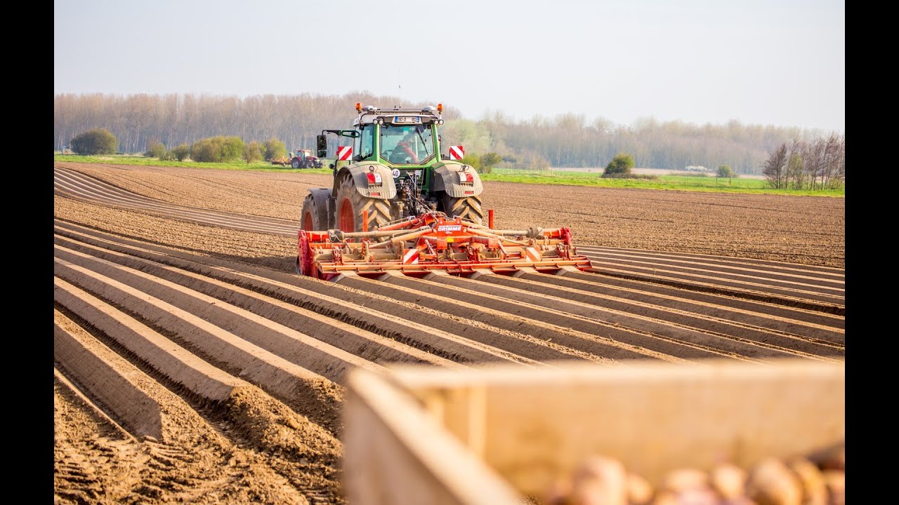 GRIMME GF 600 | 6-row Rotary Hiller