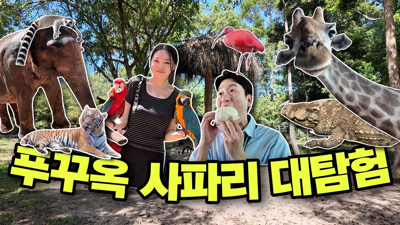 Выживание на Фукуоке 🇻🇳🏝️ Хаос дяди и племянницы начинается… (Vinpearl Safari + гастротур) | EP.1