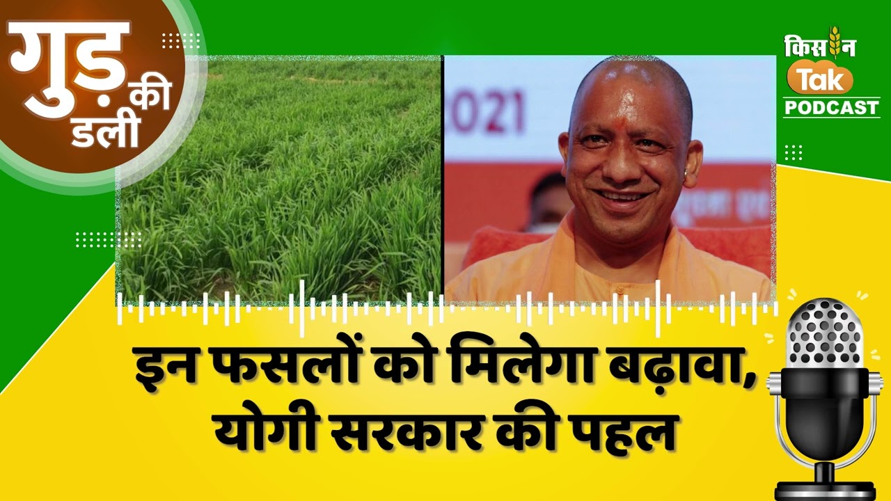Gud Ki Dali: पूर्वांचल में धान के साथ रबी और खरीफ की फसलों को मिलेगा बढ़ावा, योगी सरकार की बड़ी पहल
