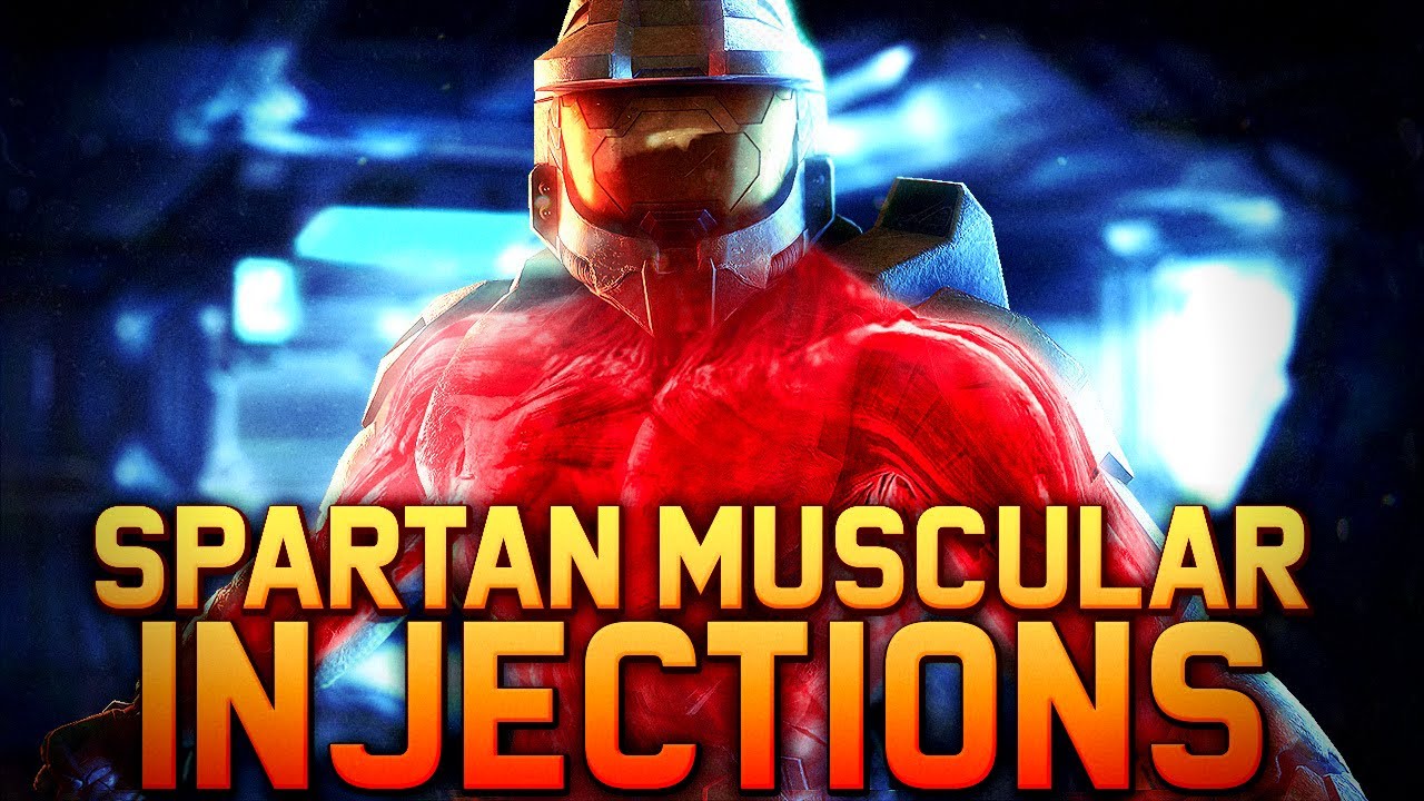 Изучение биологии мышечной аугментации Spartan II | Влияние роста на сердечную функцию