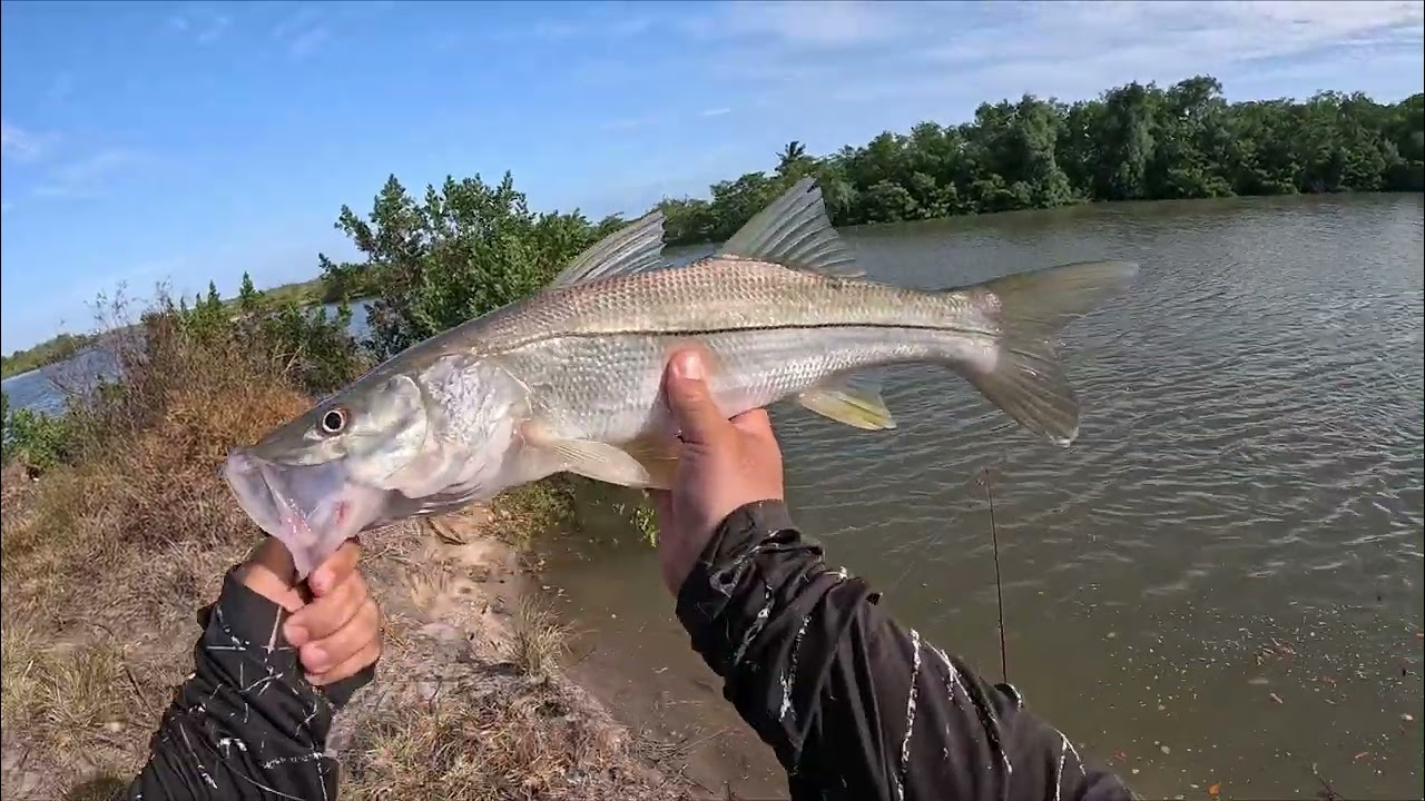 Robalo se escondeu, mas diversão é garantida