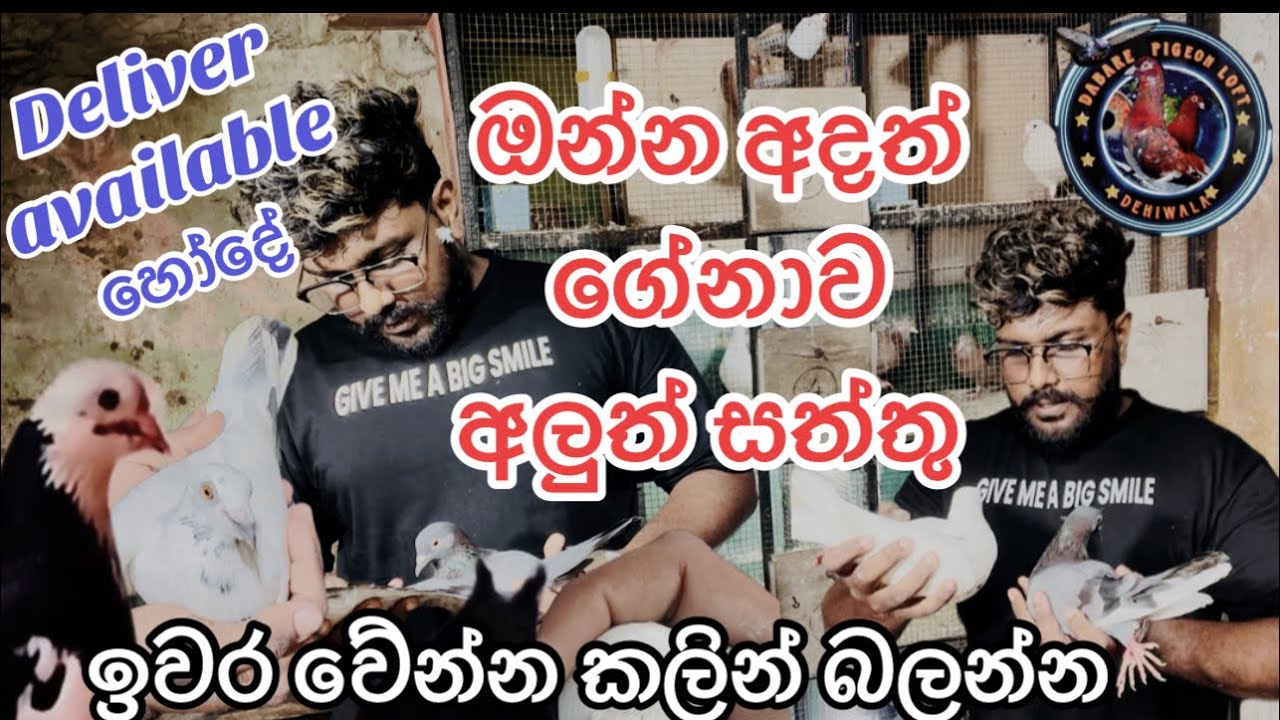 සත්තු ටික ඉවර වේන්න කලින් බලන්න හොදේ 🥵💦🕊
