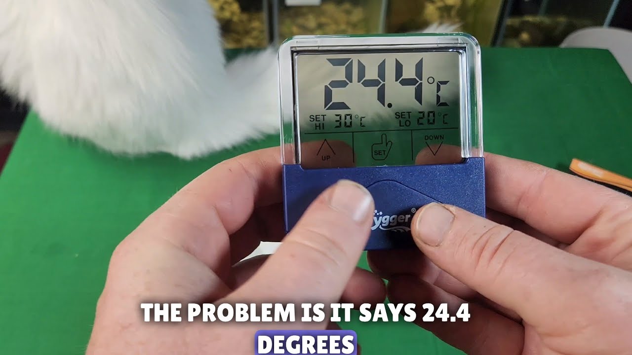 🐟 Hygger Aquarium Thermometer Unboxing: Get Hooked on High-Tech Aquatics!