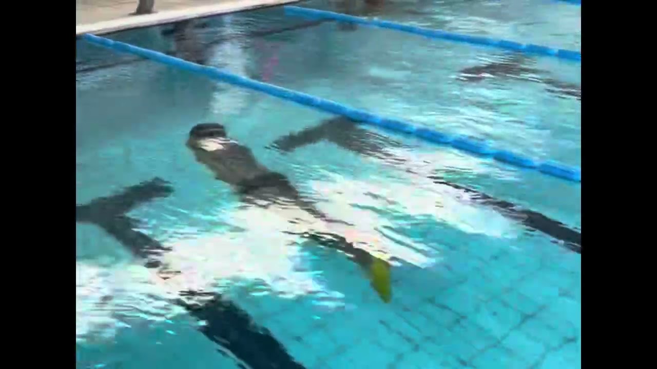 FINIS EVO 50+