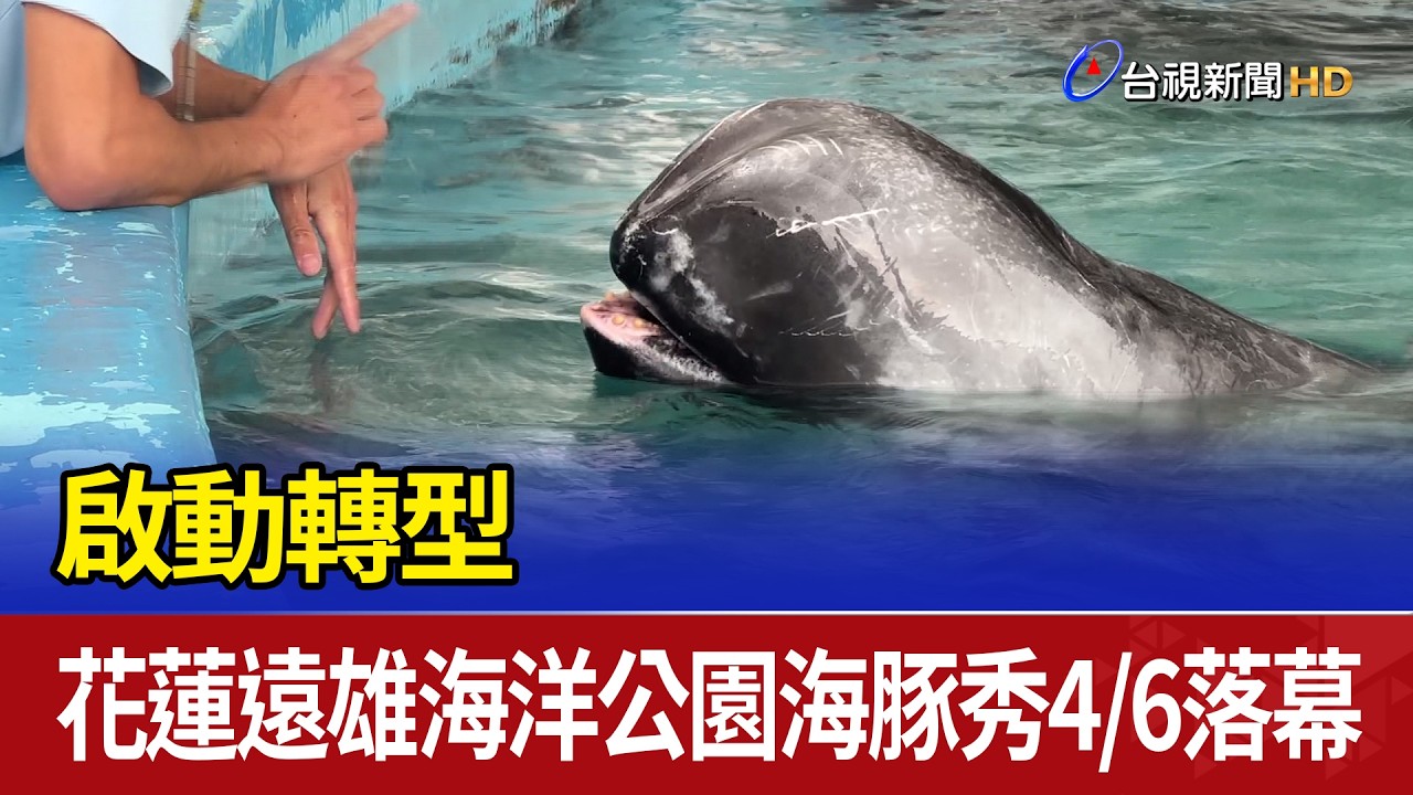 啟動轉型 花蓮遠雄海洋公園海豚秀4/6落幕