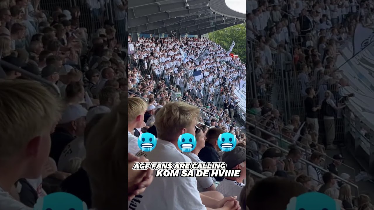 AGF FANS  CELEBRATING! #football #fodbold #soccer  #agf