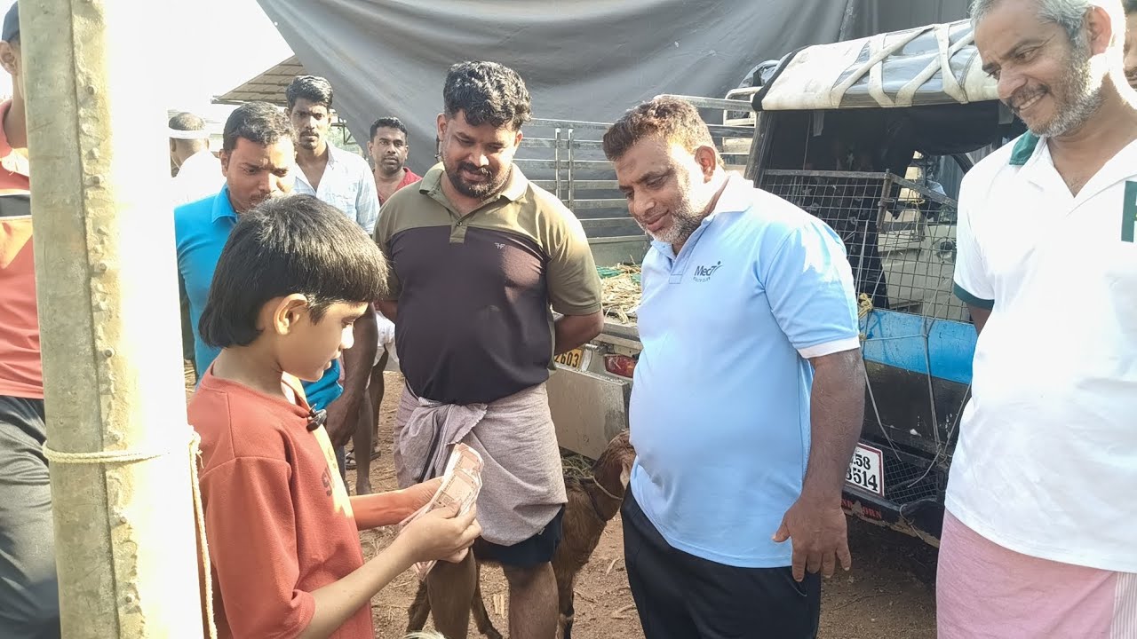 വൈറൽ മുത്തു മോൻ ആട് ചന്തയിൽ ആടുകളും ആയി ഒഴിവില്ലാത്ത കച്ചവടത്തിൽ ആയിരുന്നു മുത്തു 