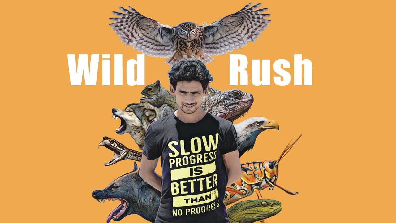 Wild Rush