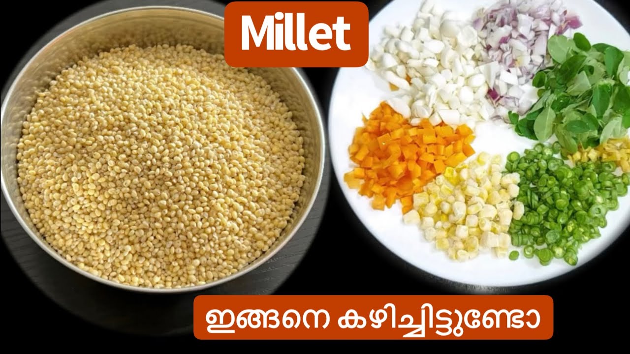 വെജിറ്റബിൾസ് ചേർത്ത Easy Healthy Millet Recipe/Millet ഇങ്ങനെയാണ് കഴിക്കേണ്ടത്/High Protein and Fiber