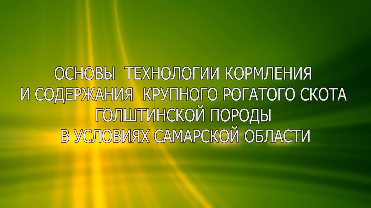 Основы технологии кормления и содержания КРС