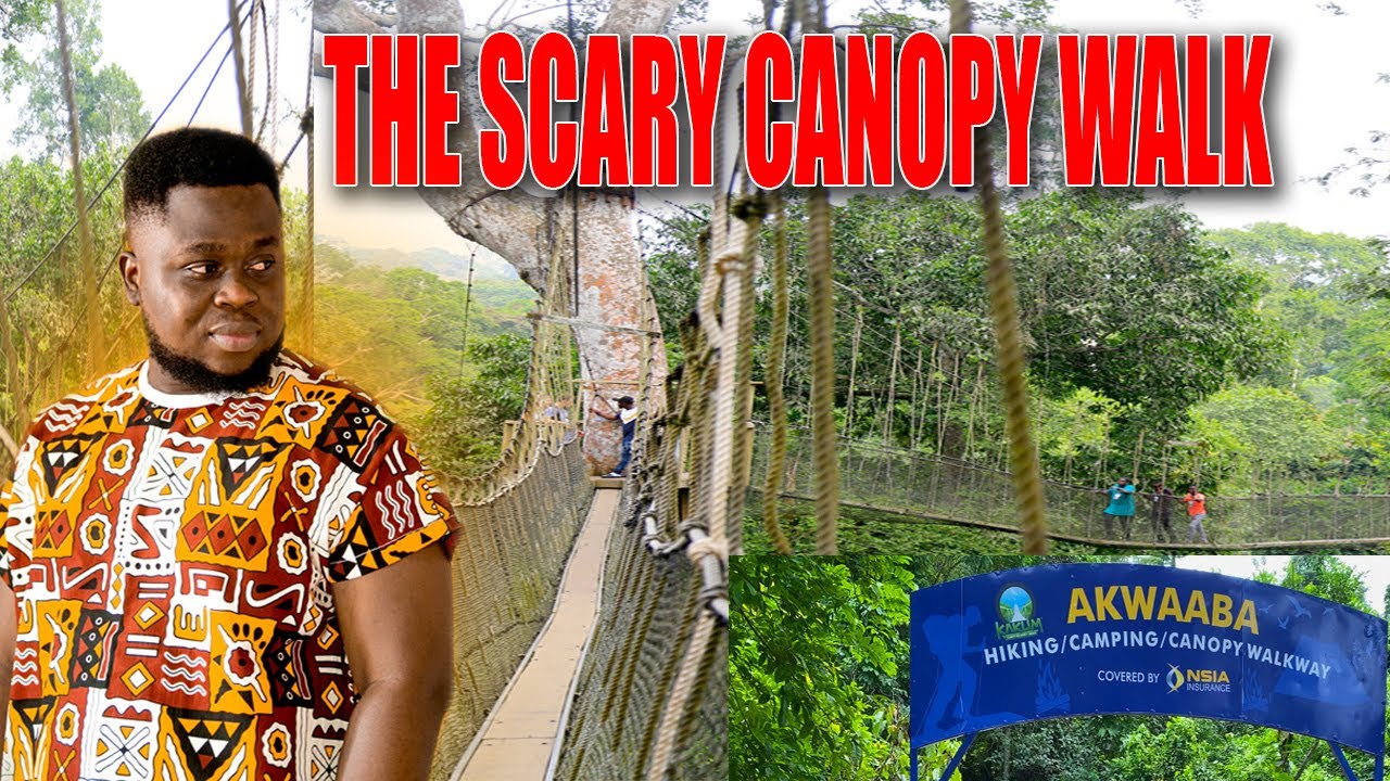 Scary Experience At The Kakum National Park - CANOPY WALKWAY