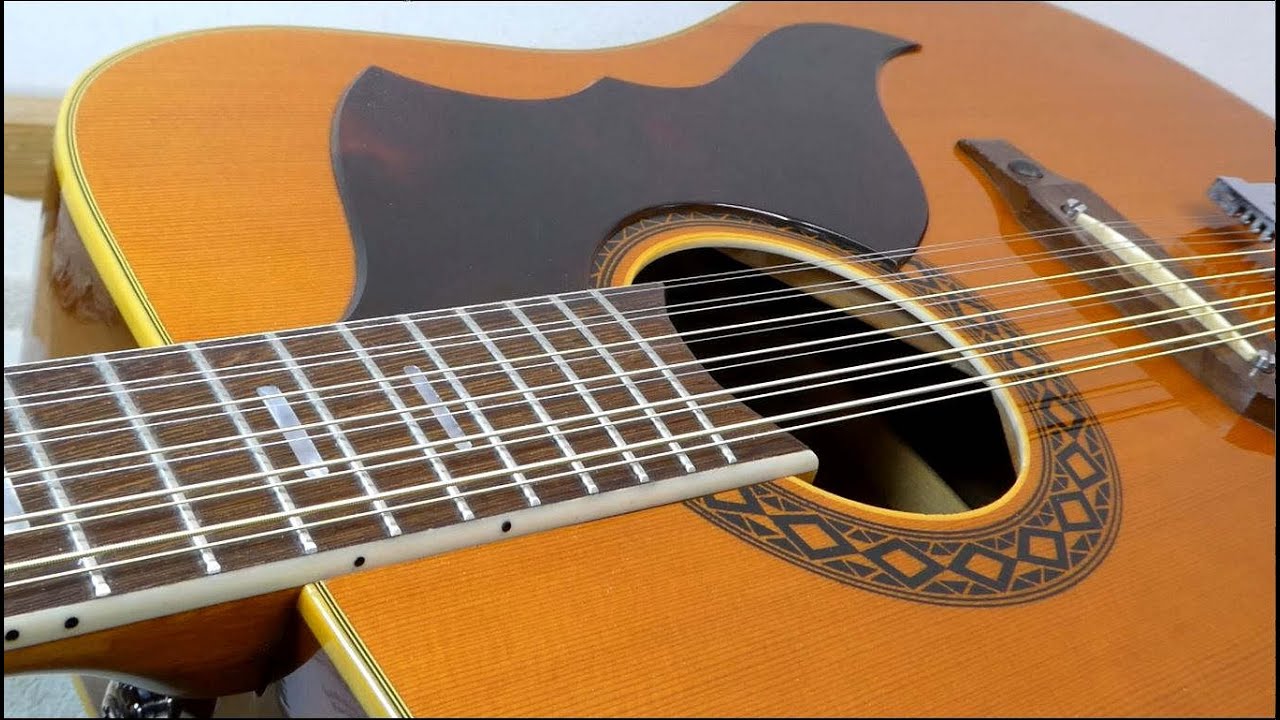 Eko 12 String