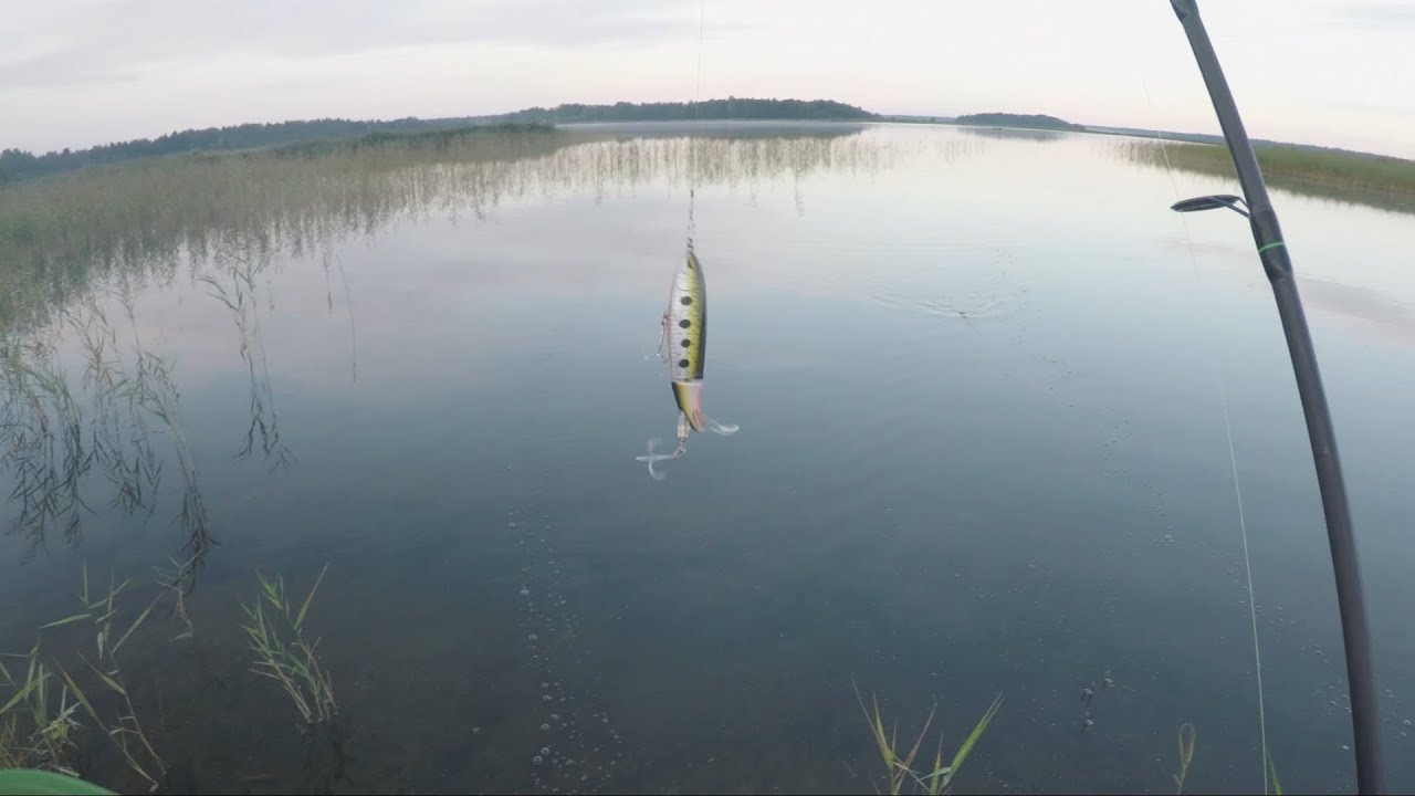 Sekla cope Kaņierī.