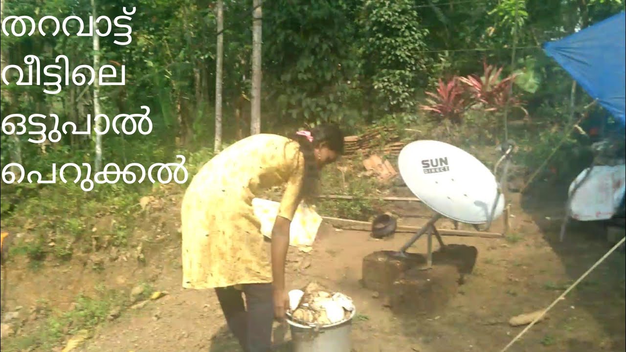 തറവാട്ട് വീട്ടിൽ ഒട്ടുപാൽ പറക്കൽ💪 എപ്പിസോഡ്.48