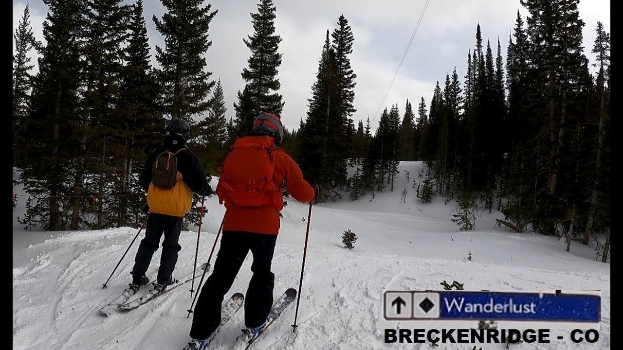 Breckenridge 2021 February - Skiing the Wanderlust black run among trees