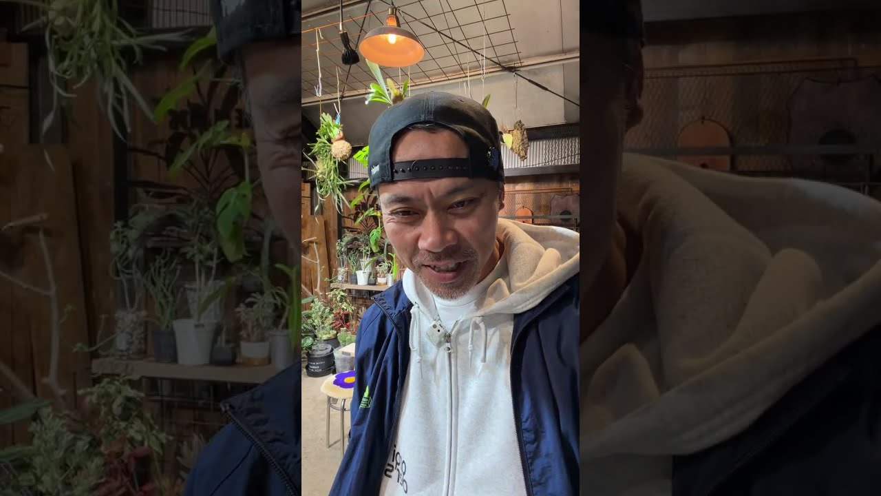 ほんわかアロイダーズ がライブ配信中！