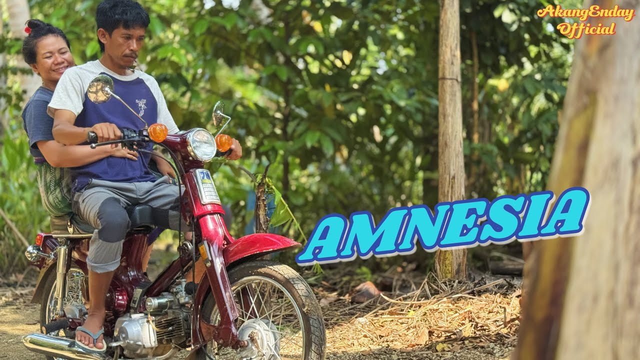 AMNESIA
