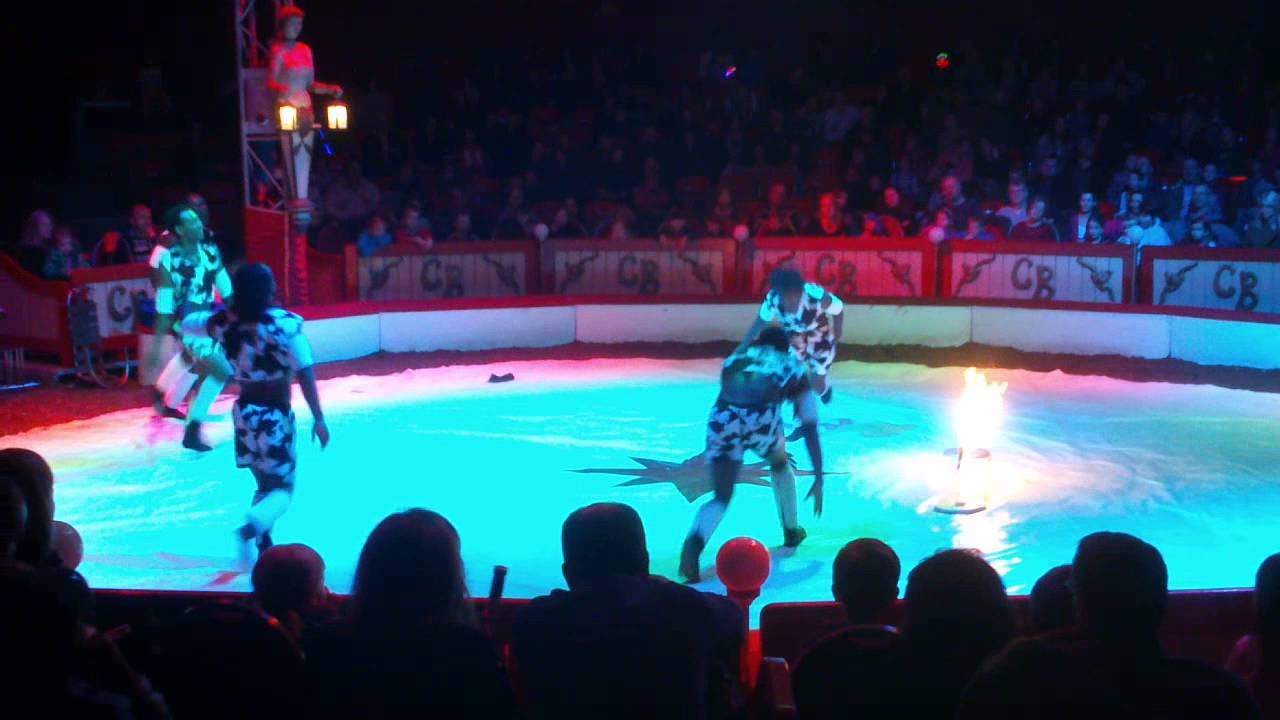zuma zuma circus berousek