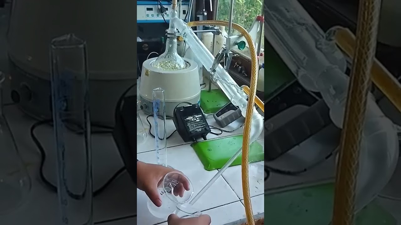 #shorts#EKSTRAKSI MINYAK SERAI/Penyulingan minyak Atsari
