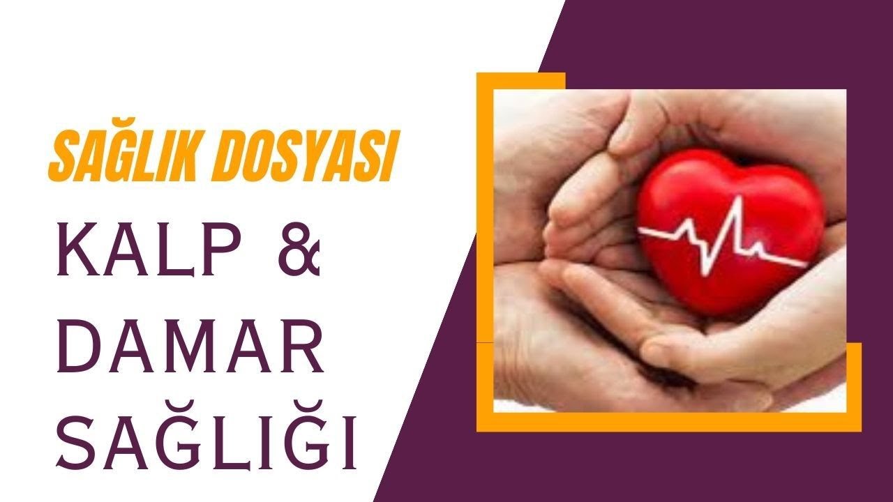 KALP VE DAMAR SAĞLIĞIMIZI NASIL DESTREKLERİZ?