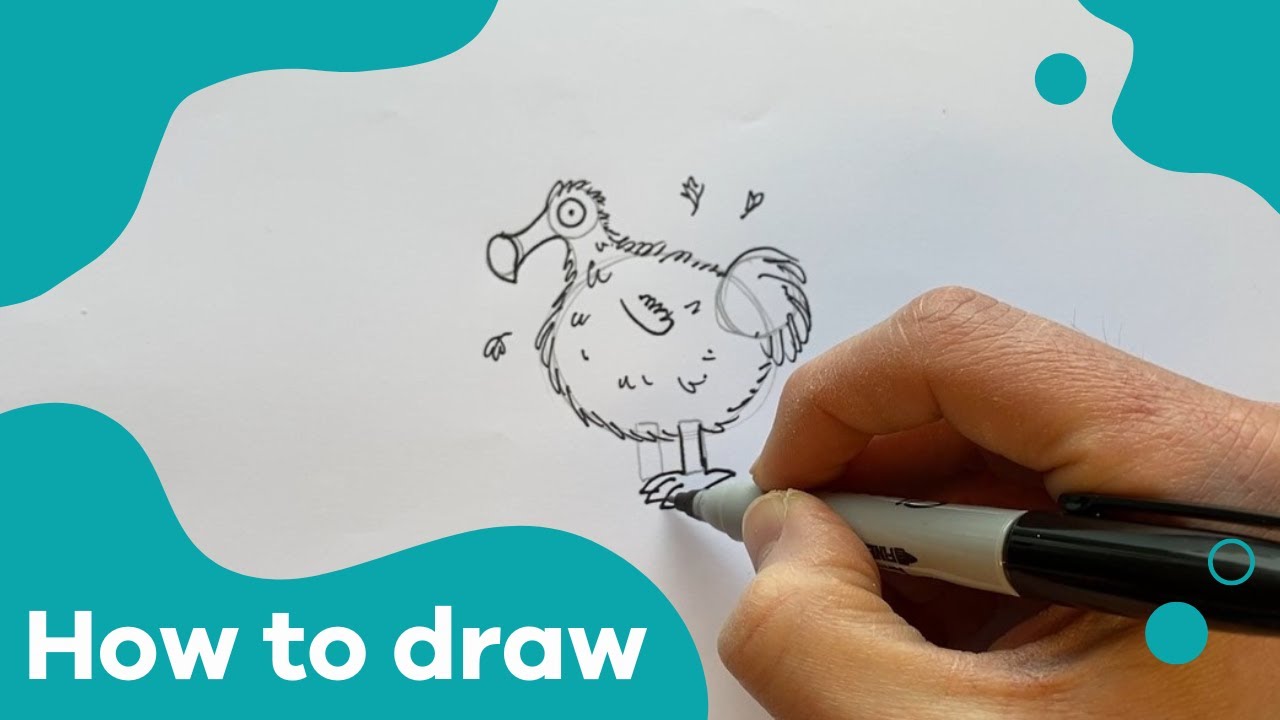 How to draw a Dodo, with Paddy Donnelly