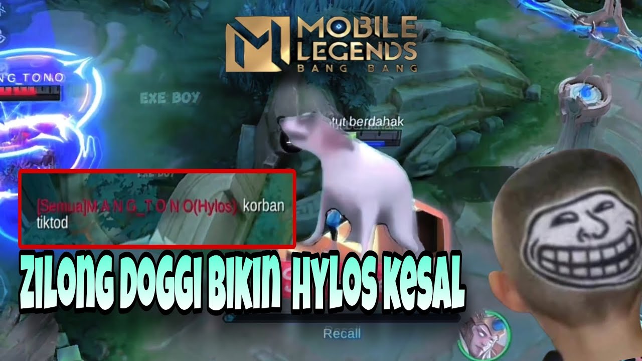 Zilong dokgi exe || cara bikin kuda defeat 😂#mlbb #zilongdoggi #zilongexe